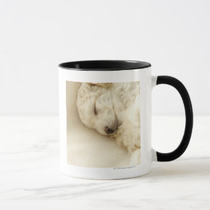 Caneca Filhote de cachorro da caniche do sono
