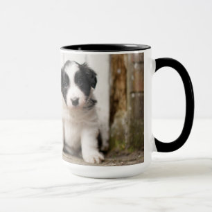 Caneca Filhote de cachorro de border collie