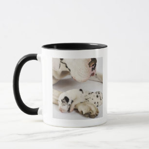 Caneca Filhote de cachorro de great dane do Harlequin que