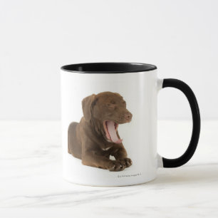 Caneca Filhote de cachorro de quatro meses do laboratóri