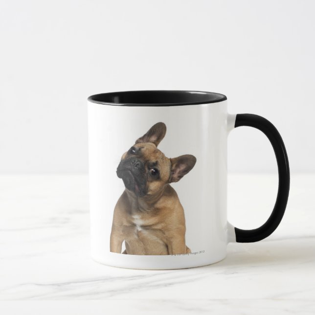 Caneca Filhote de cachorro do buldogue francês (7 meses (Direita)