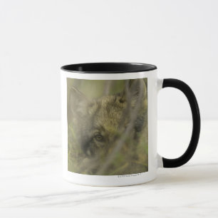 Caneca Filhote de cachorro do lobo cinzento (lúpus de