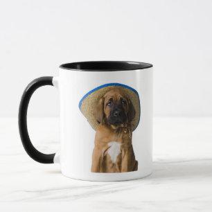 Caneca filhote de cachorro em um chapéu de vaqueiro