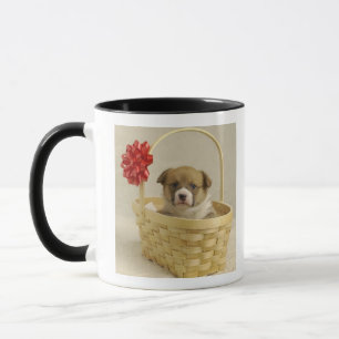 Caneca Filhote de cachorro em uma cesta