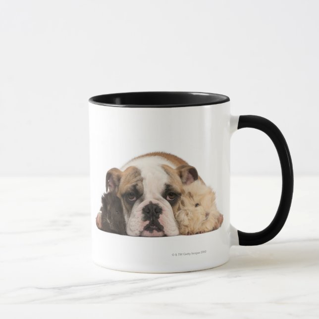 Caneca Filhote de cachorro inglês do buldogue (4 meses (Direita)