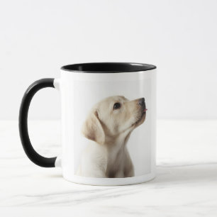 Caneca Filhote de cachorro louro de Labrador que cola