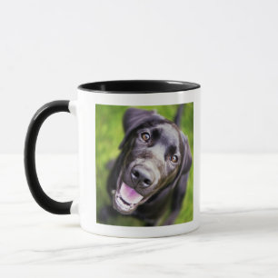 Caneca Filhote de cachorro preto de Labrador que olha