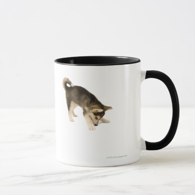 Caneca Filhote de cachorro ronco 2 (Direita)