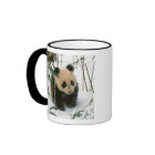 Filhote de panda na neve, Wolong, Sichuan, China