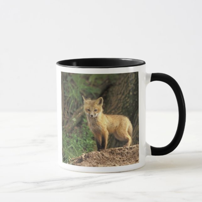 Caneca Filhote de Raposa Vermelha em frente à toca (Vulpe (Direita)