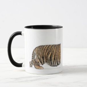 Caneca Filhote de tigre de Sumatran - sumatrae de tigris