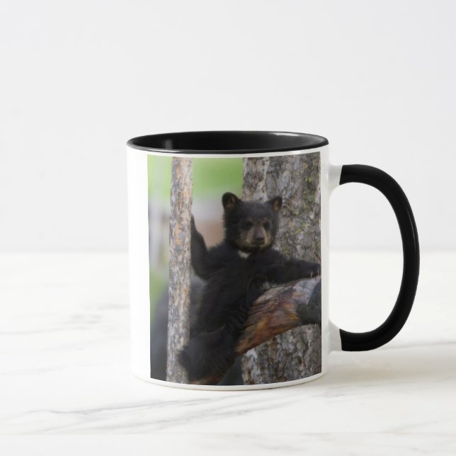 Caneca Filhote de Ursos Negros Deitado (Direita)