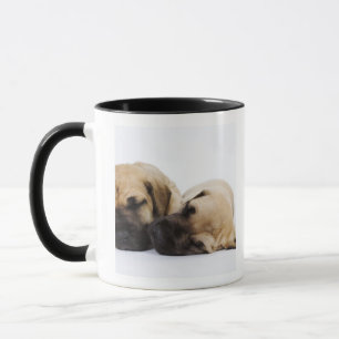 Caneca Filhotes de cachorro de great dane que dormem de