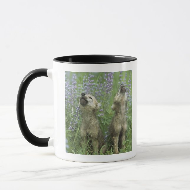 Caneca Filhotes de cachorro de lobo que urram no prado (Esquerda)