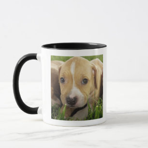 Caneca Filhotes de cachorro que colocam na grama