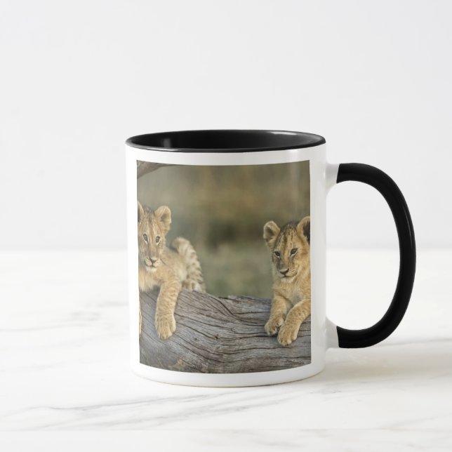 Caneca Filhotes de Leão no Tronco (Direita)