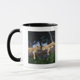 Caneca Filhotes de leão que encontram-se no ramo de