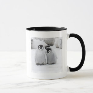 Caneca Filhotes de Pinguim Imperador no Gelo na Antártida