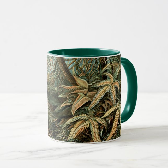 Caneca Filicinae por Ernst Haeckel, samambaias vintage (Frente Esquerda)