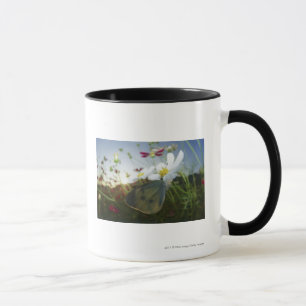 Caneca Fim-acima da borboleta na flor