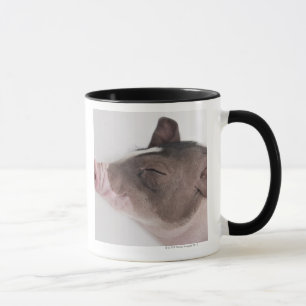 Caneca Fim-acima da cabeça de um leitão, sorrindo