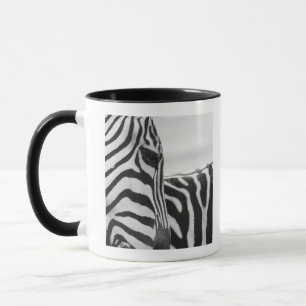 Caneca Fim-acima da cara e do ombro da zebra