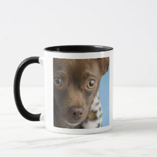 Caneca Fim-acima da chihuahua com colar peludo
