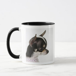 Caneca Fim-acima da chihuahua, vista lateral