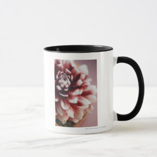 Caneca Fim-acima de gotas da água em uma flor