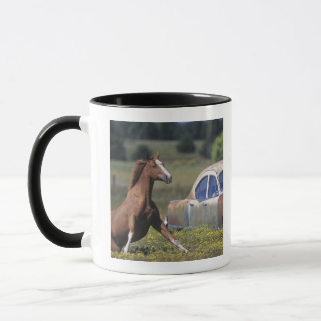 Caneca Fim-acima de um cavalo que funciona perto de um (Esquerda)