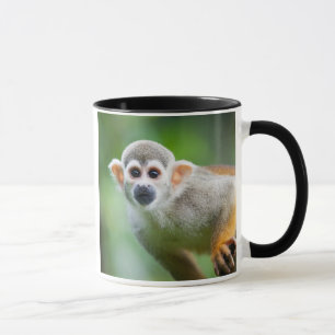 Caneca Fim-acima de um macaco de esquilo comum