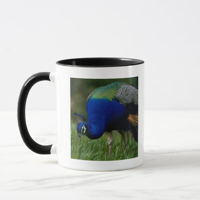 Caneca Fim-acima de um pavão (Esquerda)