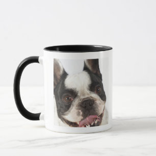 Caneca Fim-acima de uma Boston Terrier que cola para fora