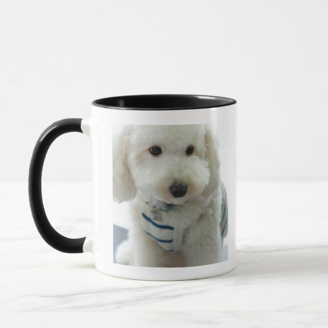 Caneca Fim-acima de uma caniche diminuta (Esquerda)