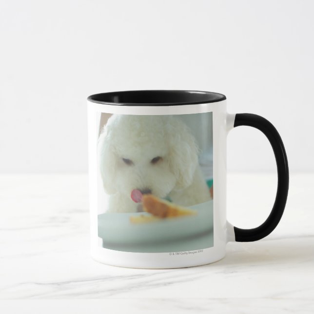 Caneca Fim-acima de uma caniche diminuta que come a (Direita)