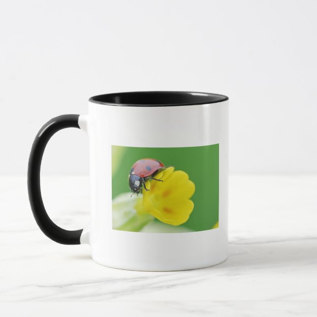 Caneca Fim-Acima do joaninha (Esquerda)