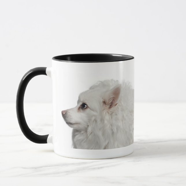 Caneca Fim-acima do Keeshond (10 anos velho) (Esquerda)