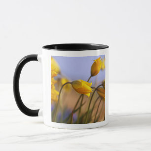 Caneca Fim-acima dos daffodils