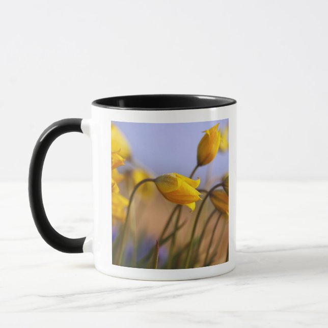 Caneca Fim-acima dos daffodils (Esquerda)