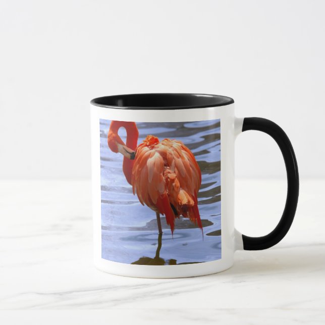 Caneca Flamingo numa perna na água (Direita)
