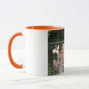Caneca Flamingos e reflexões
