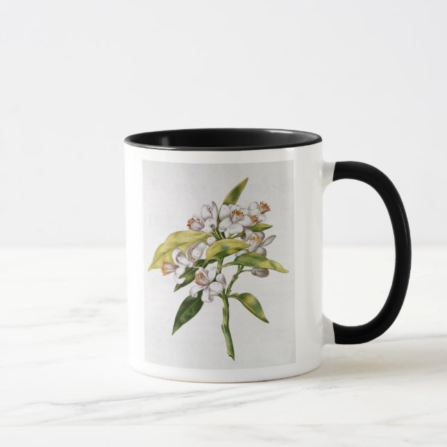 Caneca Flor da árvore alaranjada, 'de La Guirlande de (Direita)