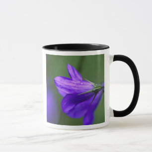 Caneca Flor de campainha azul em Independence Pass em