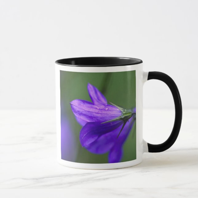 Caneca Flor de campainha azul em Independence Pass em (Direita)