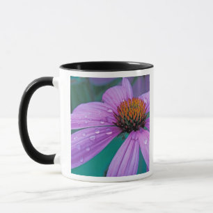 Caneca flor de cone roxo com gotas de água