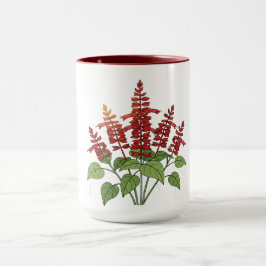 Caneca Flor de Jardim - Salvia Escarlate