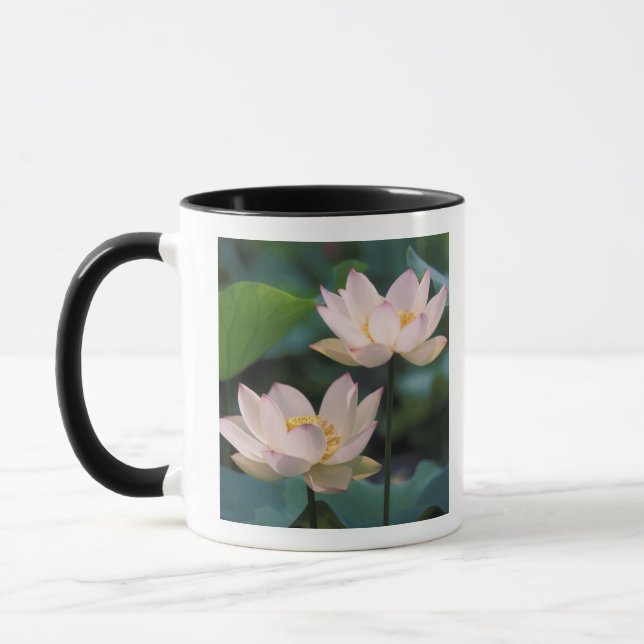 Caneca Flor de lótus em flor, China (Esquerda)