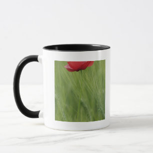 Caneca Flor de papoula vermelha entre a cultura de trigo,