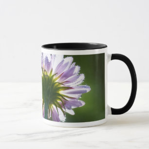 Caneca Flor Silvestre Roxa Com Iluminação Posterior e Got