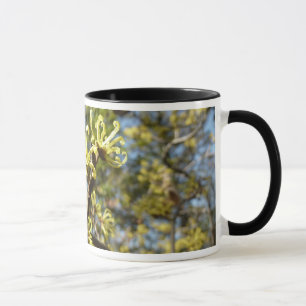 Caneca Flores da avelã de bruxa